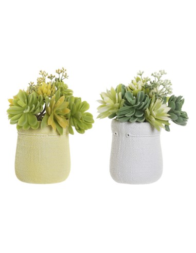 PLANTA PE EVA 15X15X19 LOTUS 2 SURT.