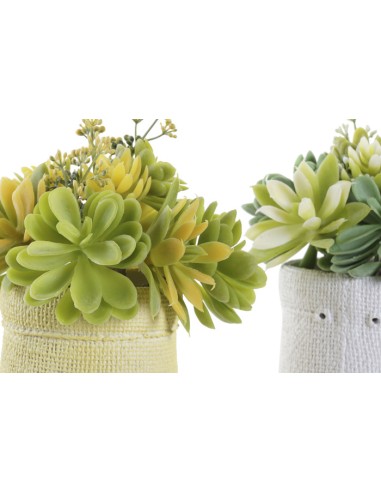 PLANTA PE EVA 15X15X19 LOTUS 2 SURT.