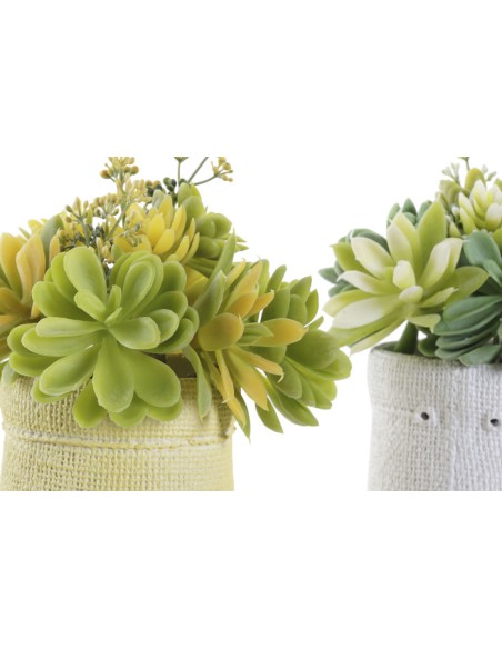 PLANTA PE EVA 15X15X19 LOTUS 2 SURT.