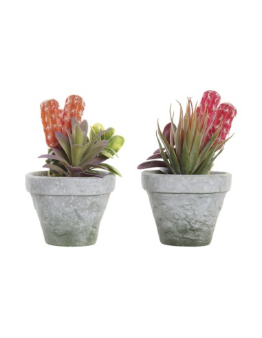 PLANTA PE EVA 16X12,5X19,5 2 SURT.