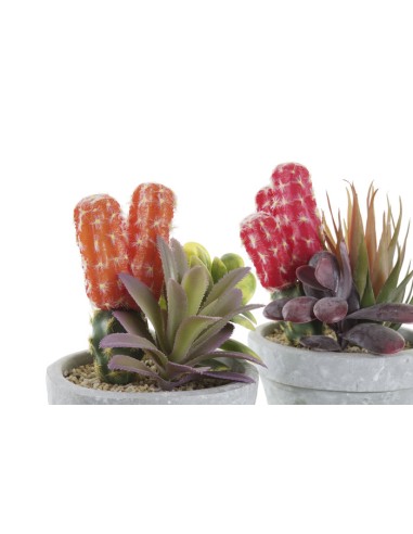 PLANTA PE EVA 16X12,5X19,5 2 SURT.