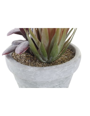 PLANTA PE EVA 16X12,5X19,5 2 SURT.