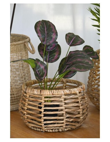 PLANTA PE 30X30X58 VERDE