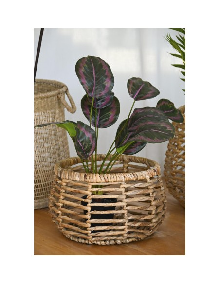 PLANTA PE 30X30X58 VERDE