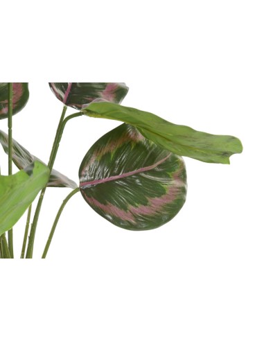 PLANTA PE 30X30X58 VERDE