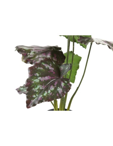 PLANTA PE 20X20X39 VERDE