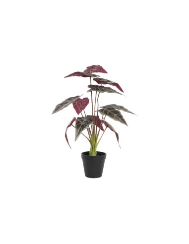 PLANTA PE 20X20X49 VERDE