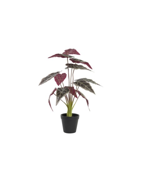 PLANTA PE 20X20X49 VERDE