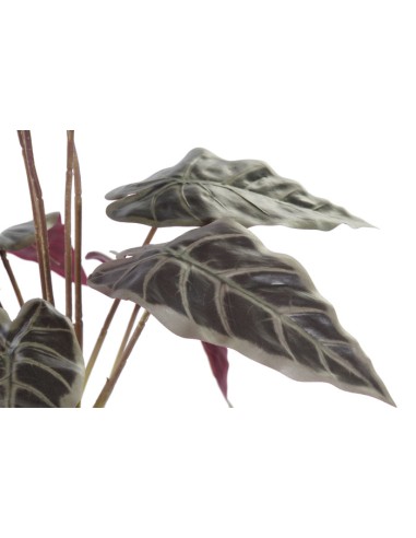 PLANTA PE 20X20X49 VERDE