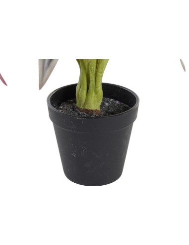 PLANTA PE 20X20X49 VERDE