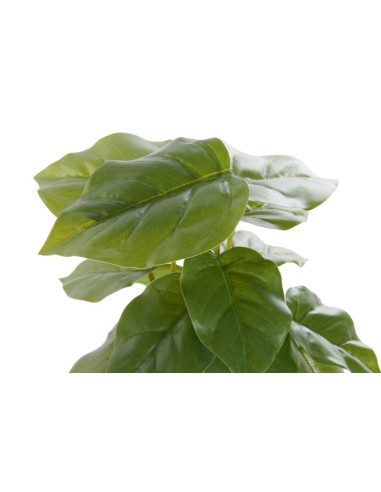 PLANTA PVC PP 20X20X30 PHILODENDRO VERDE