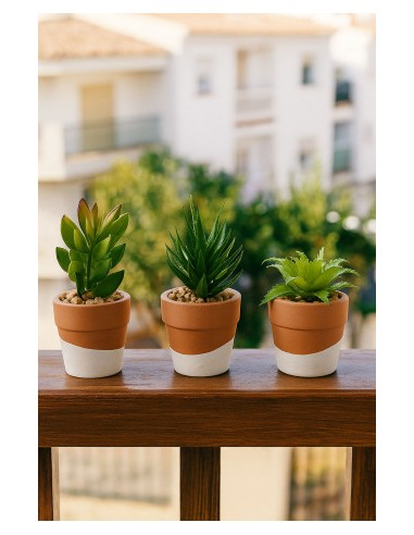 PLANTA CEMENTO PE 5,5X5,5X13 3 SURT.