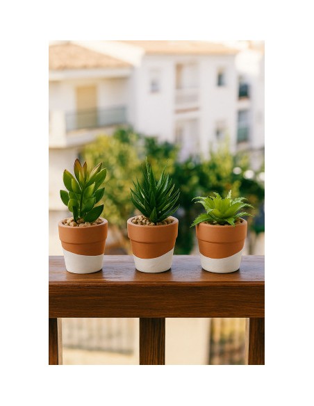 PLANTA CEMENTO PE 5,5X5,5X13 3 SURT.