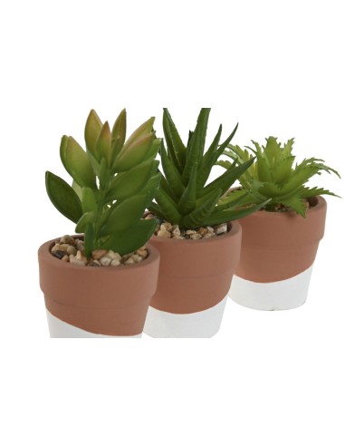 PLANTA CEMENTO PE 5,5X5,5X13 3 SURT.