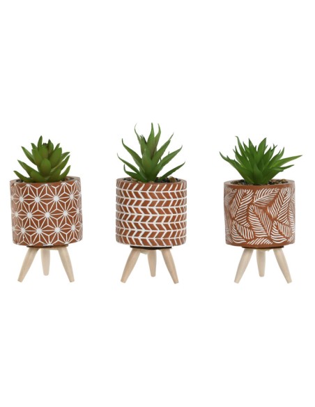 PLANTA CEMENTO PE 7,5X7,5X16,5 3 SURT.