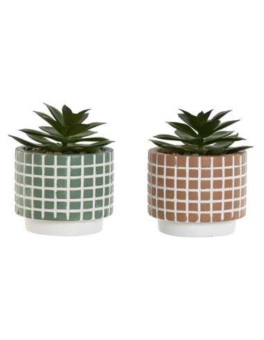 PLANTA CEMENTO PE 8X8X10 2 SURT.