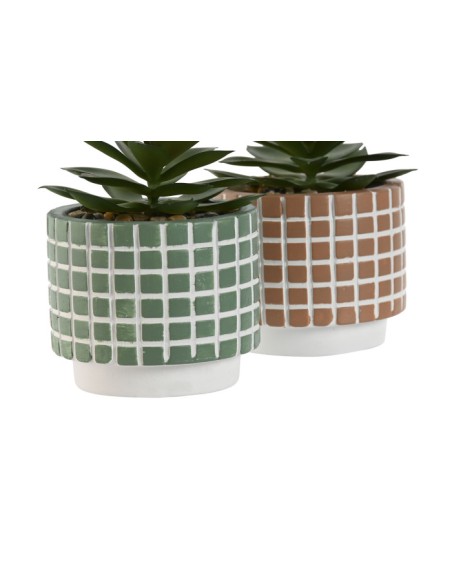 PLANTA CEMENTO PE 8X8X10 2 SURT.