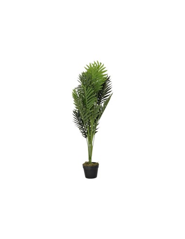 PLANTA PE 40X40X100 PALMERA VERDE
