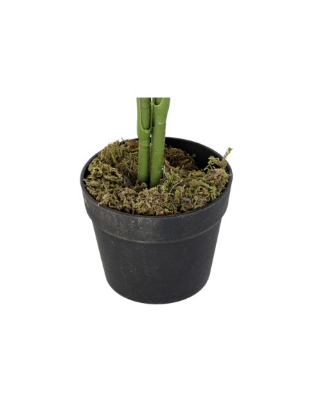 PLANTA PE 40X40X100 PALMERA VERDE