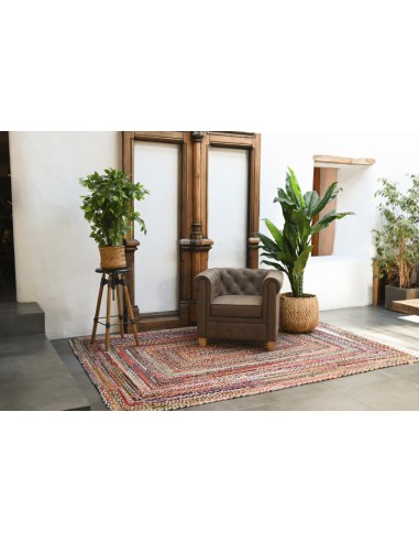 PLANTA PE 50X50X90 FICUS VERDE