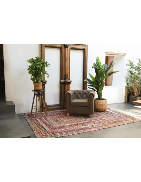 PLANTA PE 50X50X90 FICUS VERDE