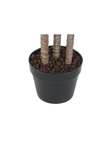 PLANTA PE 80X80X150 DRACAENA VERDE