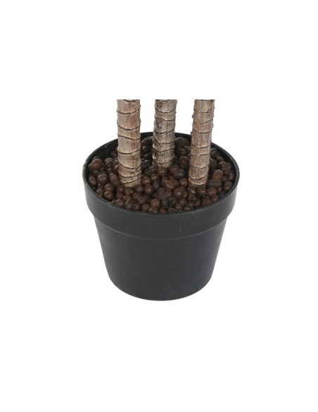 PLANTA PE 80X80X150 DRACAENA VERDE