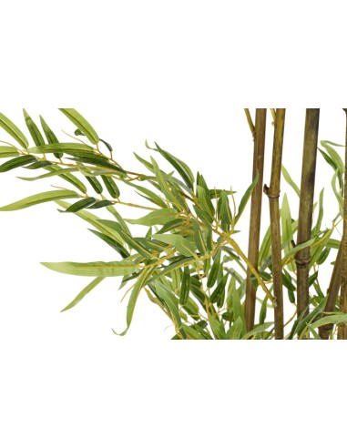 PLANTA PE 50X50X180 BAMBU VERDE