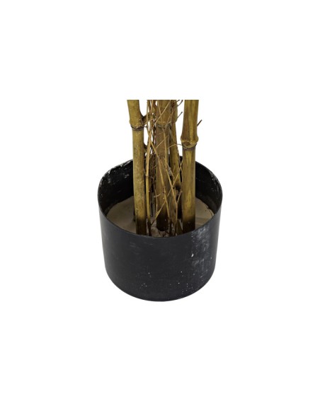 PLANTA PE 150X40X40 BAMBU VERDE