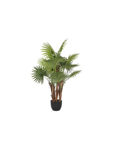 PLANTA PP PE 88X81X120 VERDE