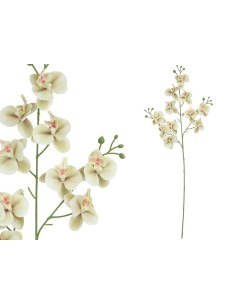 VARA ORQUIDEA X 11 R/TOUCH-82 CM(VERDE)