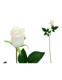 VARA CAPULLO CLASIC (S) - 65CM (BEIG)