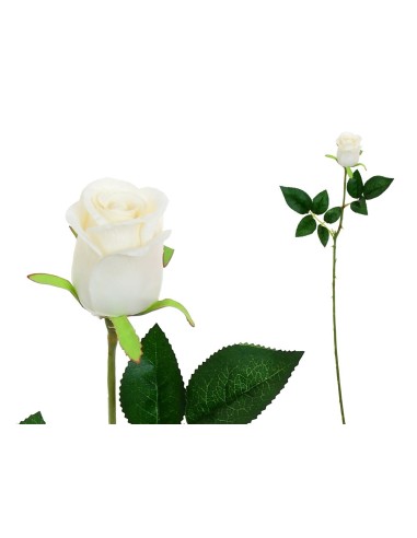 VARA CAPULLO CLASIC (S) - 65CM (BEIG)