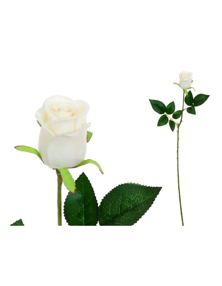 VARA CAPULLO CLASIC (S) - 65CM (BEIG)