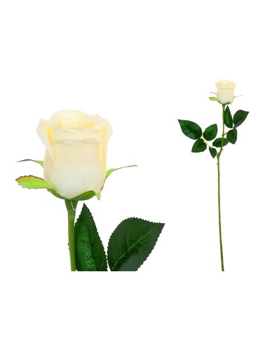 VARA CAPULLO CLASIC (S) - 65CM (CREMA)