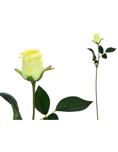 VARA CAPULLO CLASIC (S) -65CM (AMARILLO)