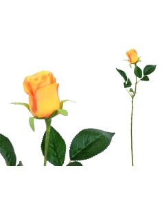 VARA CAPULLO CLASIC (S) - 65CM (TE)