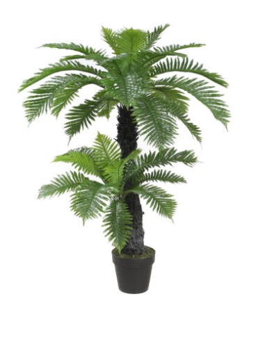 PLANTA EVA PP 80X90X120 PALMERA VERDE