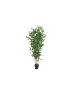 PLANTA BAMBU EVA 70X58X185 BAMBU
