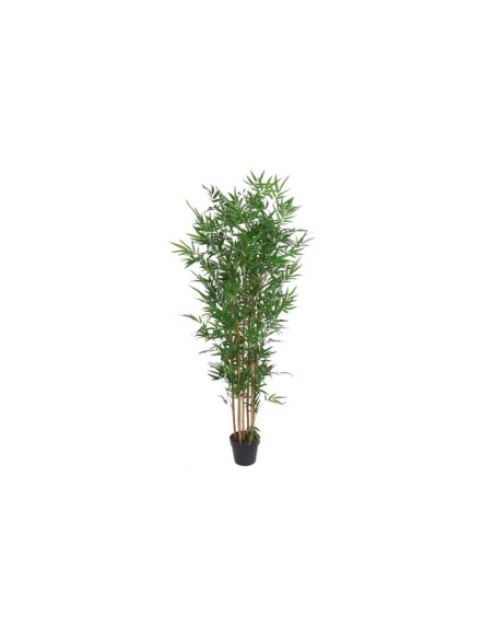 PLANTA BAMBU EVA 70X58X185 BAMBU