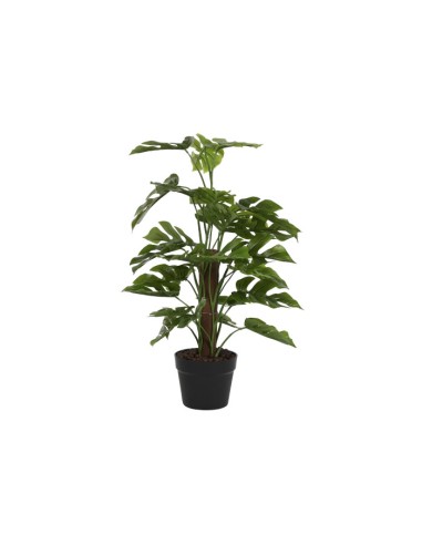 PLANTA PE 30X30X60 MONSTERA VERDE