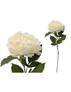 VARA PEONIA (A) -80CM (CREMA)
