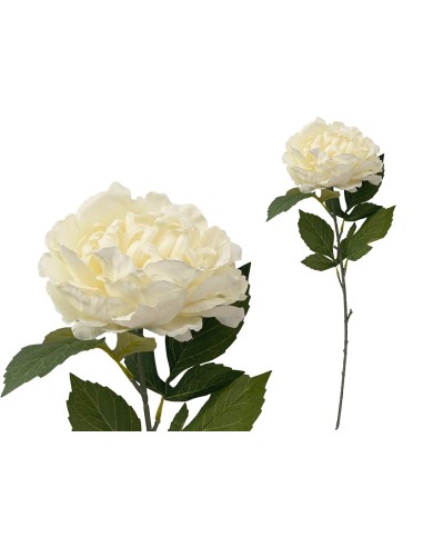 VARA PEONIA (A) -80CM (CREMA)