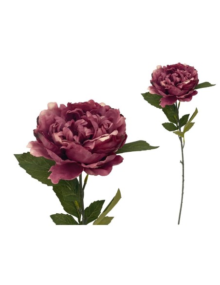 VARA PEONIA (A) -80CM (FUCSIA)