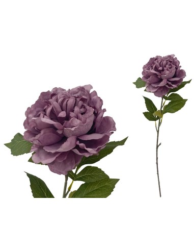 VARA PEONIA (A) -80CM (VIOLETA)