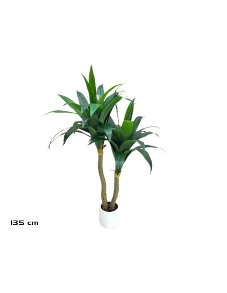 ARBOL DRACENA (V) X 2 - 135 CM