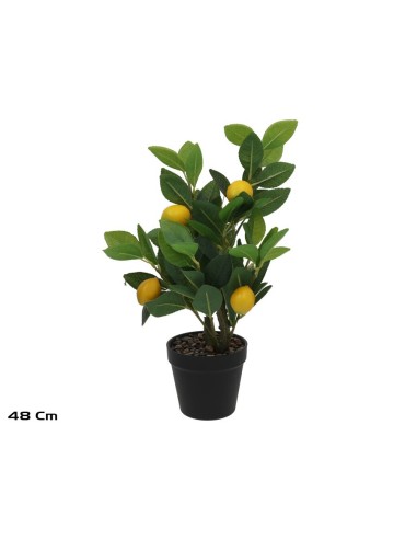 MACETA LIMONERO X 4 - 48 CM