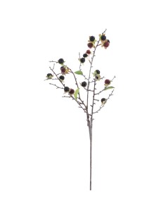 VARA GROSELLAS (6017-03)