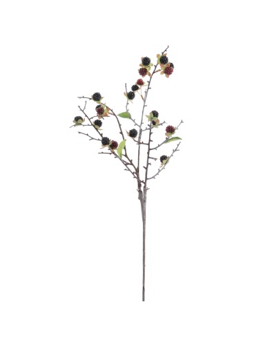 VARA GROSELLAS (6017-03)