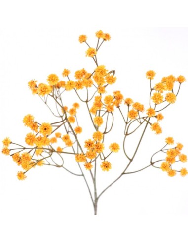 GYPSO VINTAGE (6104-34)